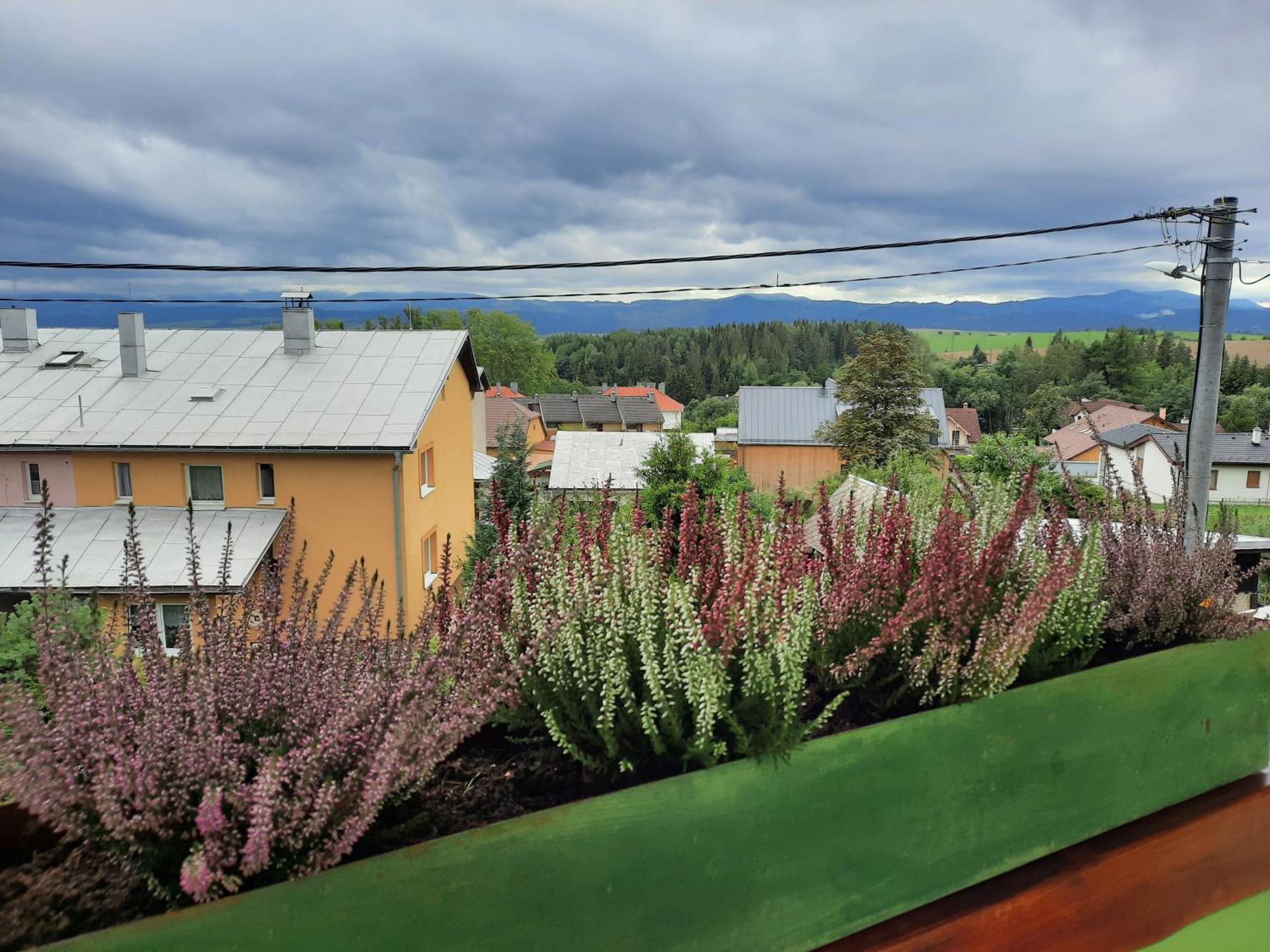 Vila Kamila Tatranska Strba Kamer foto